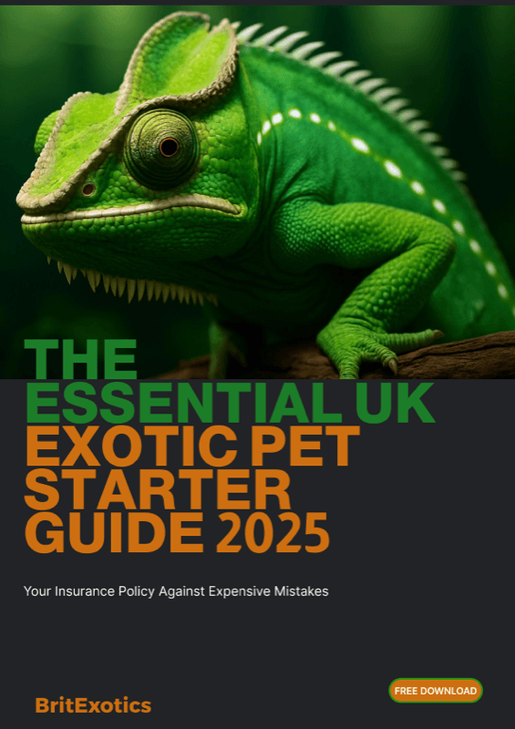 UK Exotic Pet Starter Guide 2025