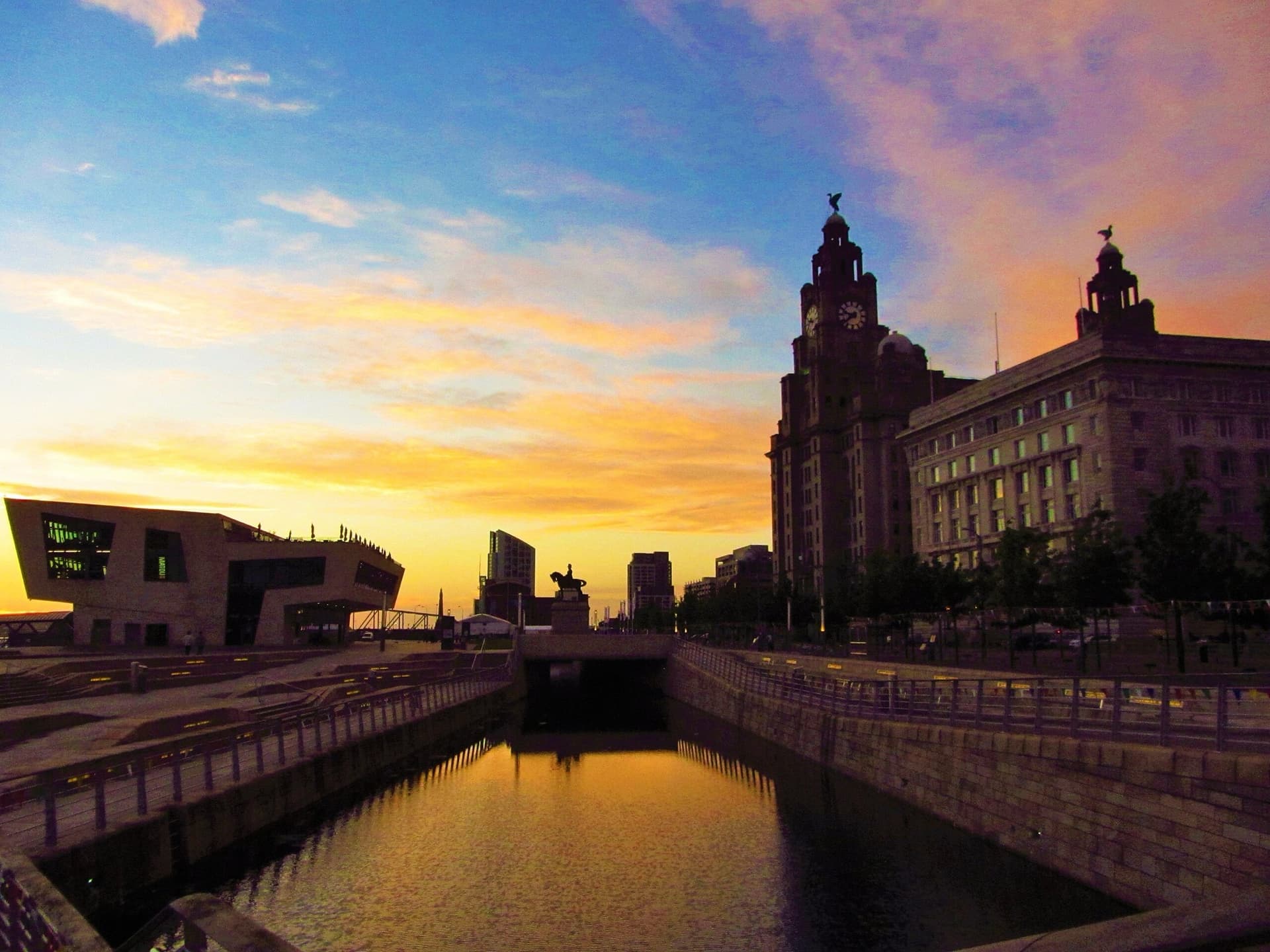 Liverpool exotic vets