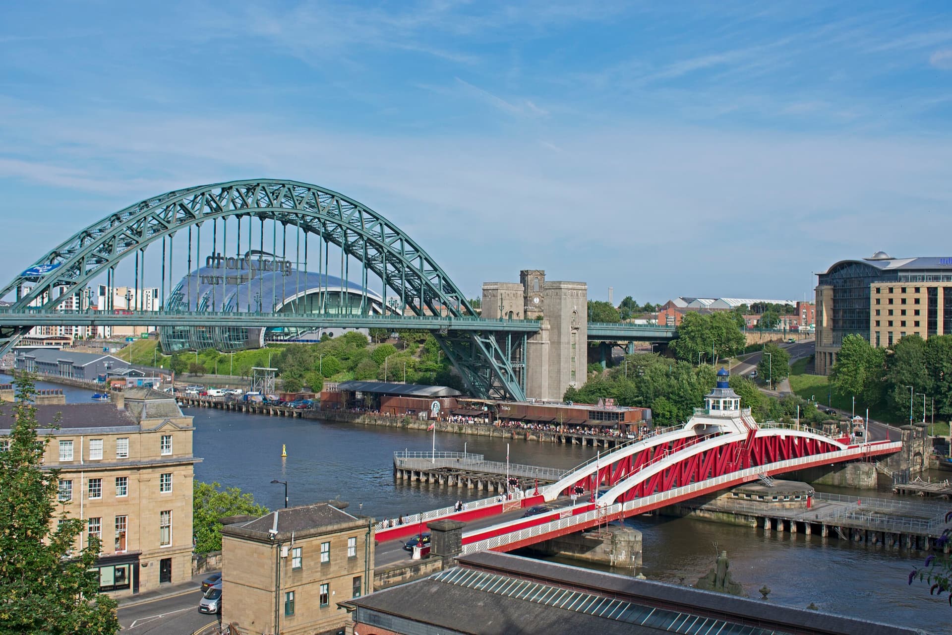 Newcastle exotic vets