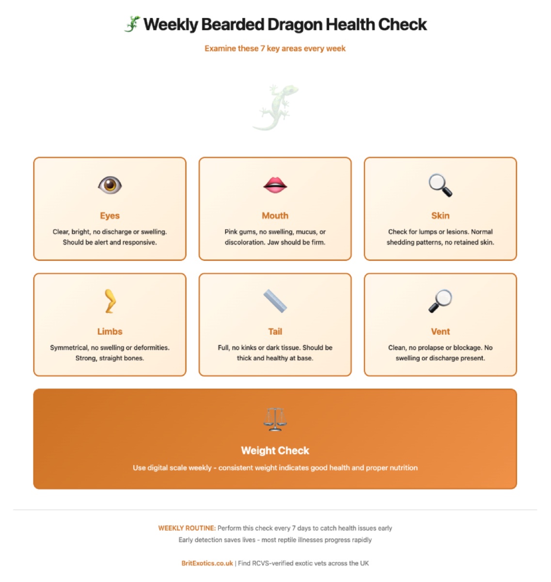 Bearded dragon weekly health check anatomical diagram UK