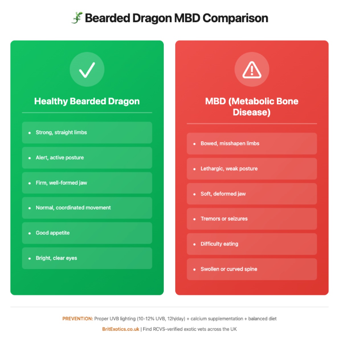 Bearded dragon MBD comparison healthy vs diseased UK